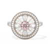 231567f6a62931bd713d81e50d434586d49c06fb55ce0f8f8262062005aae50f