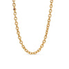Vintage Gold, Ruby and Sapphire Link Necklace