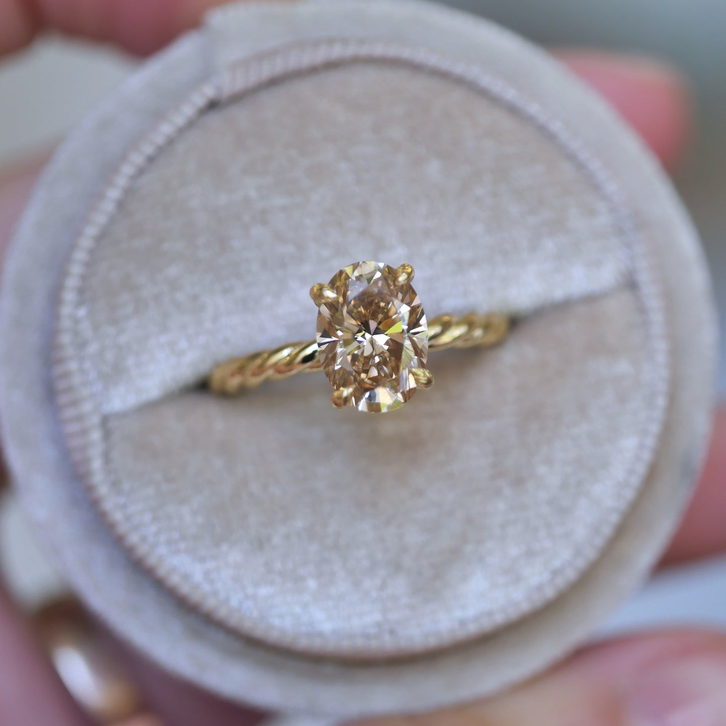 Custom Champagne Rope Band Solitaire