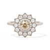 c77b912efdcbd8d9fafc628e864b286f47a4cc25f75539463bec6ab3f39ccf87
